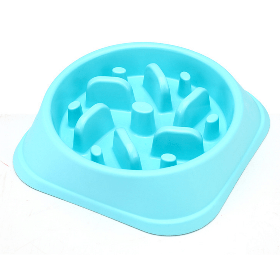 Healthy Lick & Feed Pet Bowl-5