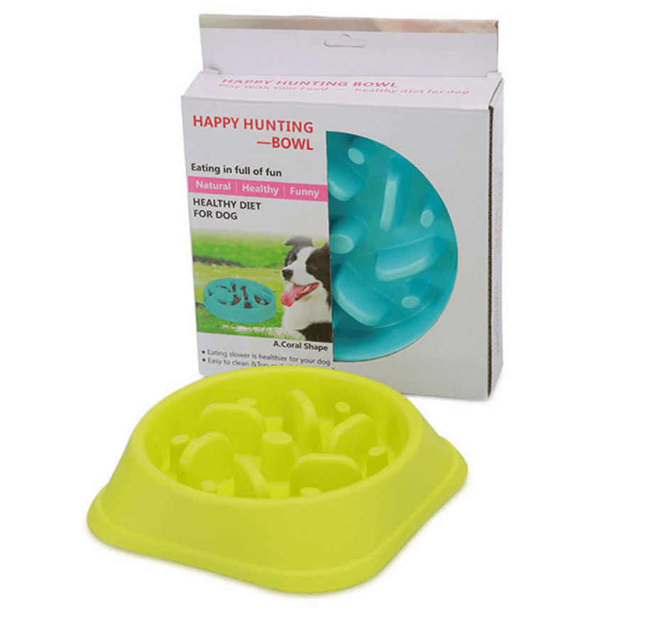Healthy Lick & Feed Pet Bowl-6